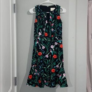 Kate spade Hummingbird Dress